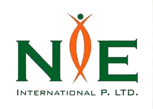 NIE Holiding Logo